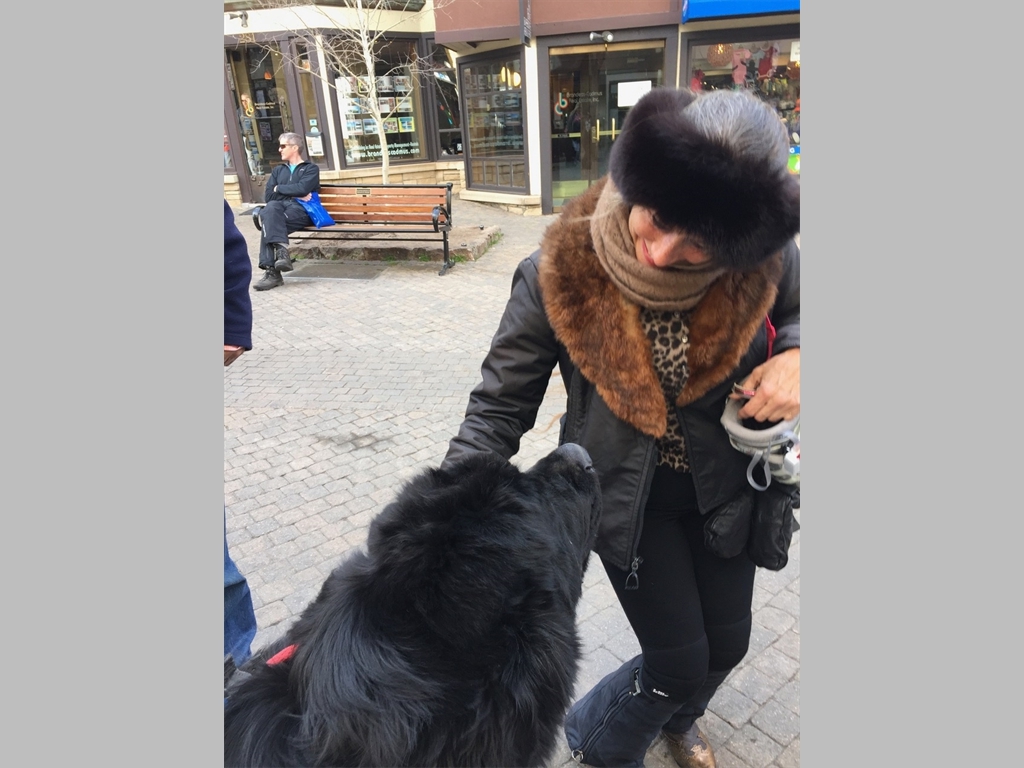 Lots of love at Vail, Colorado.