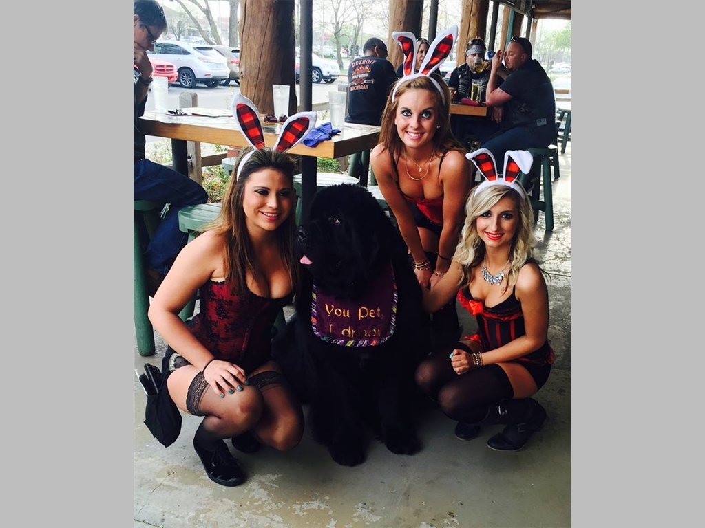 three Bunnies in Wichita, Kansas. I'm a lucky Newf!
