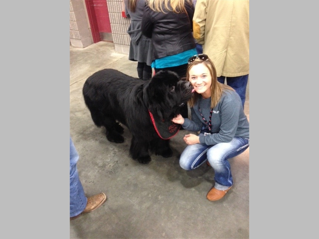 Pretty girls go to Truck shows!