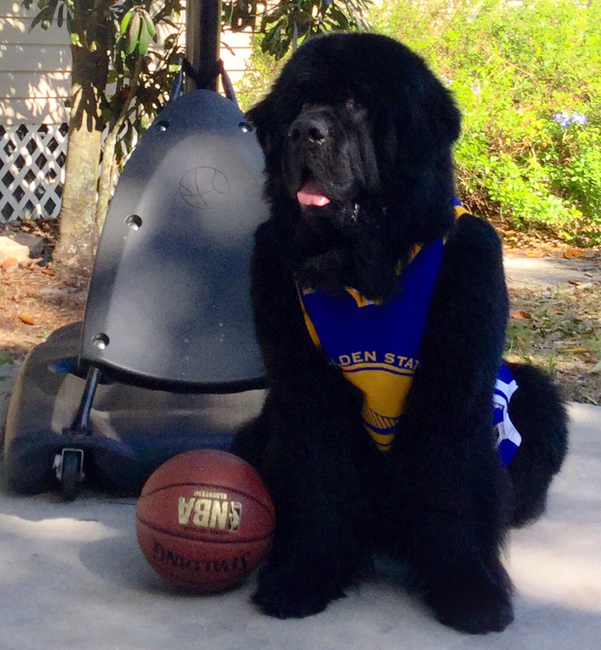 Baskettball2